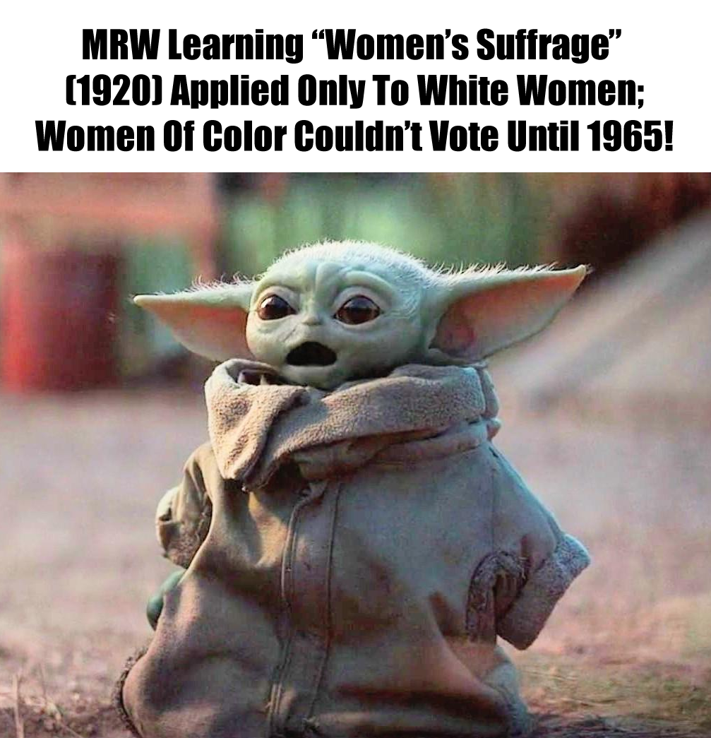 The meme is a humorous take on the 19th Amendment to the US Constitution, which granted women the right to vote. The image features a character from the Star Wars franchise, Baby Yoda, with a caption that reads: "In 1920, women were granted the right to vote. In 2023, women are still fighting for equal pay, reproductive rights, and an end to sexism." The meme is a satirical commentary on the ongoing struggle for women's rights and equality.